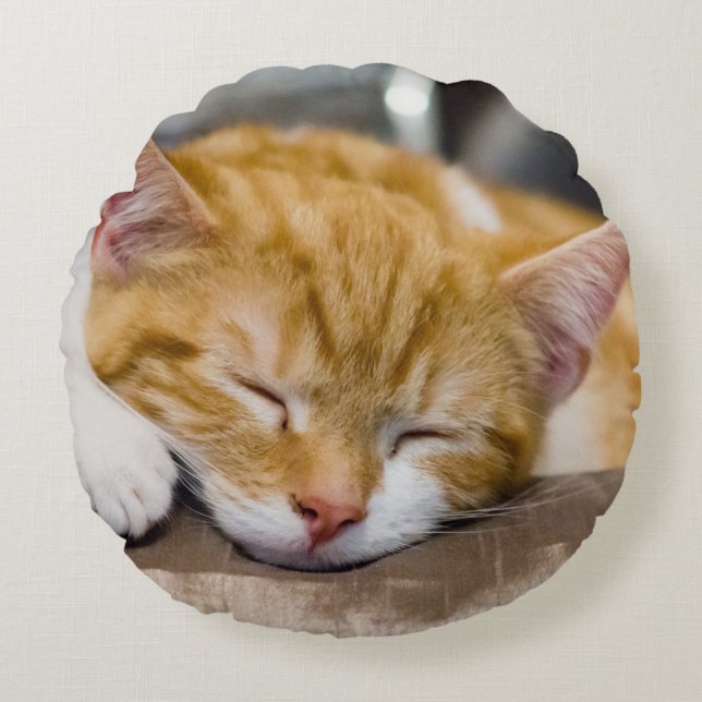 Cute Kitten Round Cushion (Front)