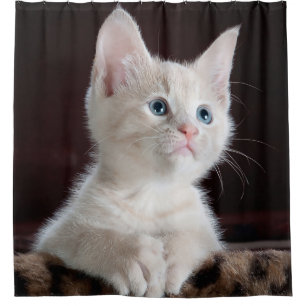 Cute Kitten Shower Curtain