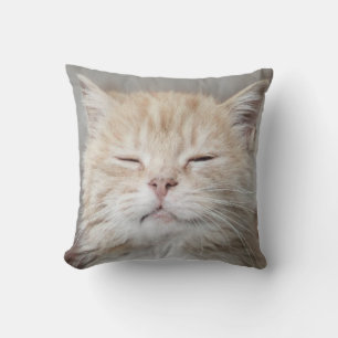 Cute Kitten Sleeping Face Cat Lover Cushion