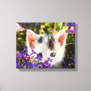 Cute Kitten Spring Flowers Garden Cat Photo Canvas Print
