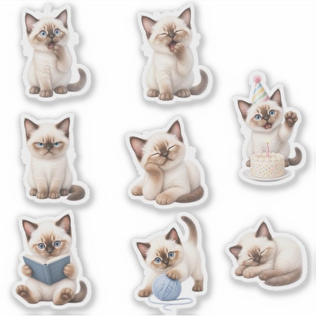 Cute Kitten Sticker Pack Expressive and Adorable (Front)
