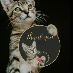 Cute Kitten Thank You for Your Business with Heart Classic Round Sticker