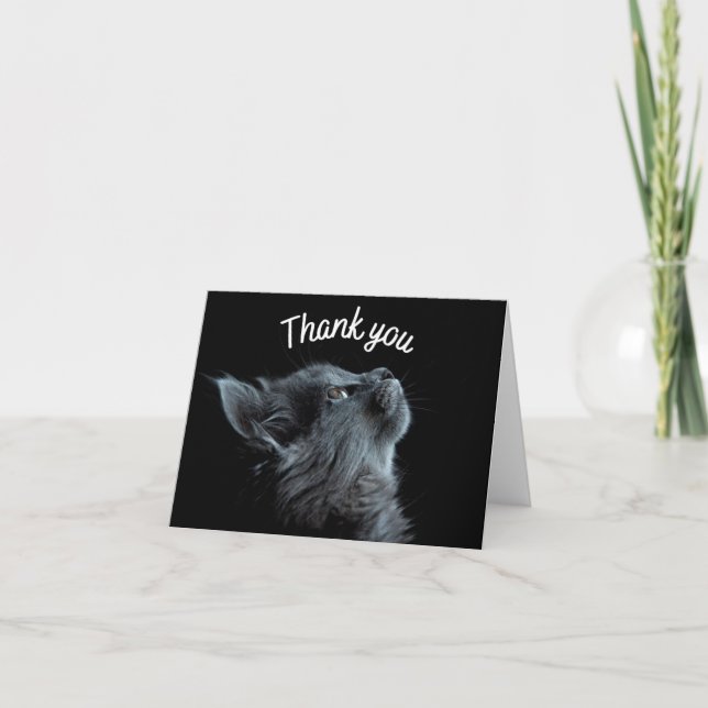 Cute kitten THANK YOU greetings card (Front)