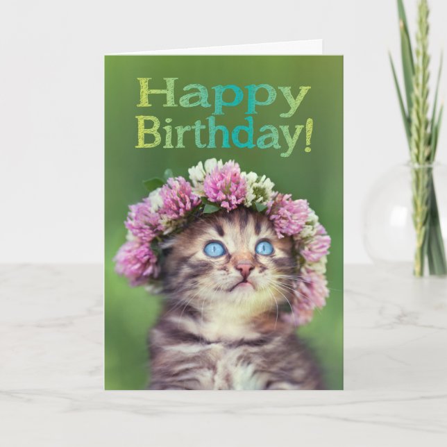 Cute Kitten Wearing Flowers on Her Head Birthday Card (Front)