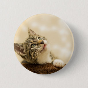 Cute Kitten with an Outstretched Paw 6 Cm Round Badge
