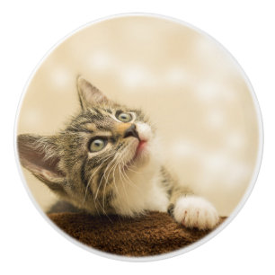 Cute Kitten with an Outstretched Paw Ceramic Knob