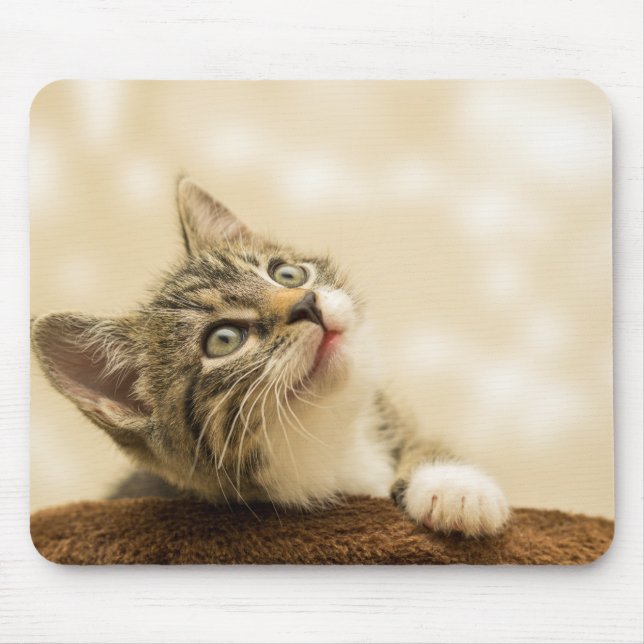 Cute Kitten with an Outstretched Paw Mouse Mat (Front)