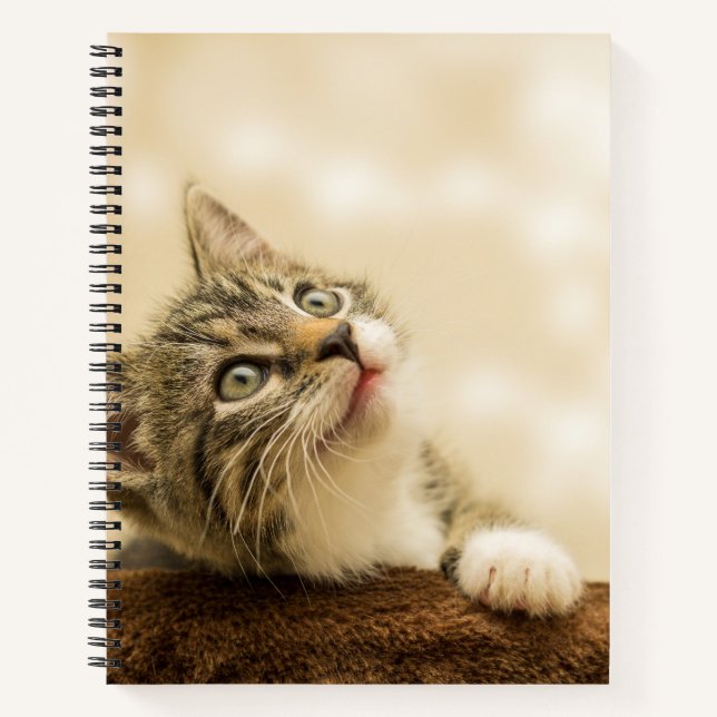 Cute Kitten with an Outstretched Paw Notebook (Front)