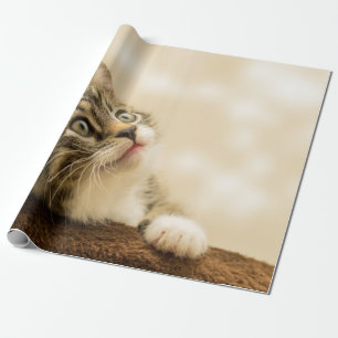 Cute Kitten with an Outstretched Paw Wrapping Paper
