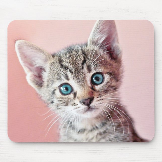 Cute kitten with blue eyes. mouse mat (Front)