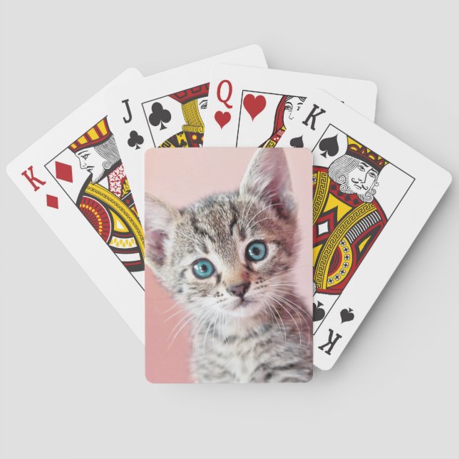 Cute kitten with blue eyes. playing cards (Back)