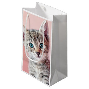 Cute kitten with blue eyes. small gift bag