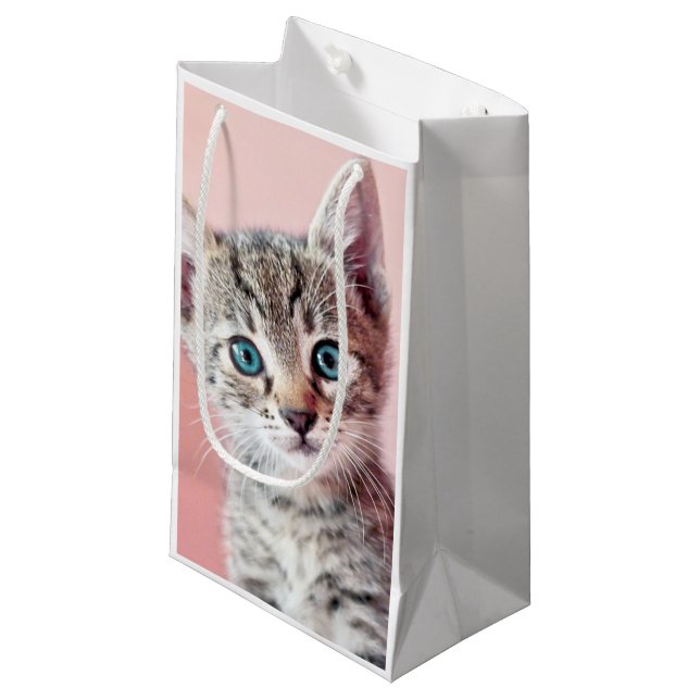 Cute kitten with blue eyes. small gift bag (Front Angled)