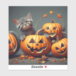 Cute Kitten with Pumpkin