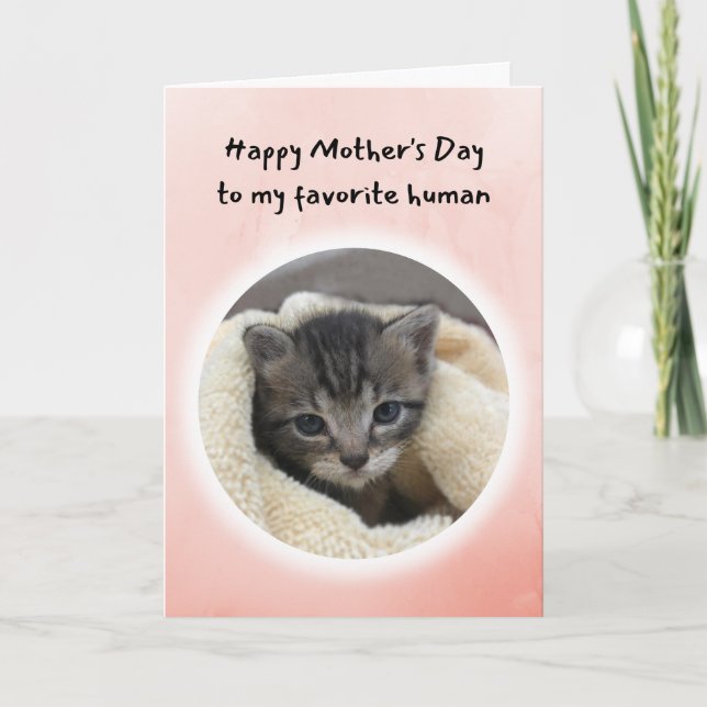 Cute Kitten You're My Favourite Human Mother's Day Card (Front)