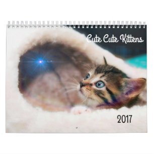 CUTE KITTENS 2017 CALENDAR