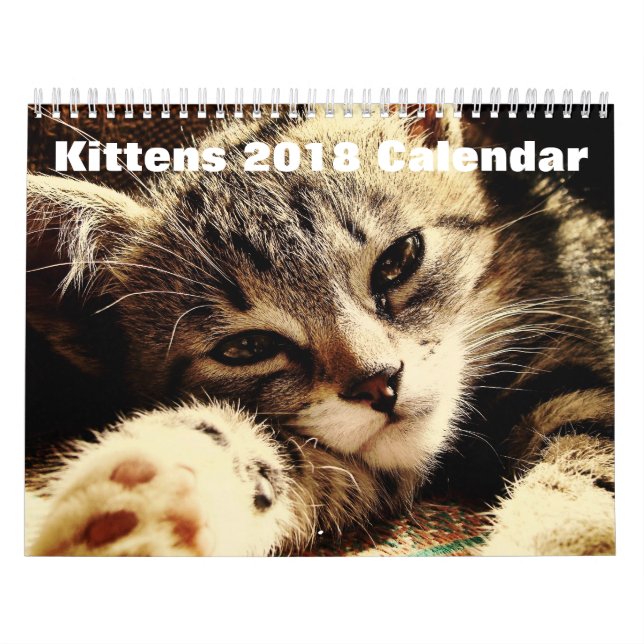 Cute Kittens 2018 Calendar (Cover)