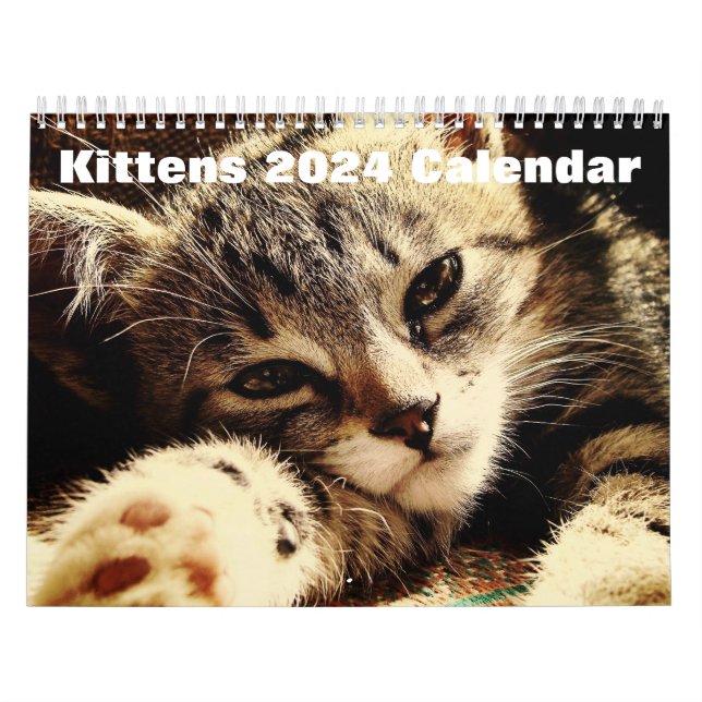 Cute Kittens 2026 Calendar (Cover)