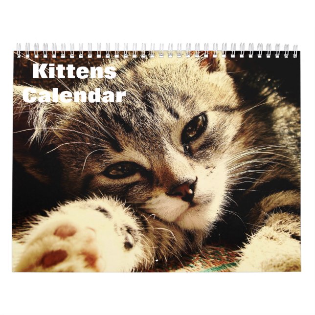 Cute Kittens 2026 Calendar (Cover)