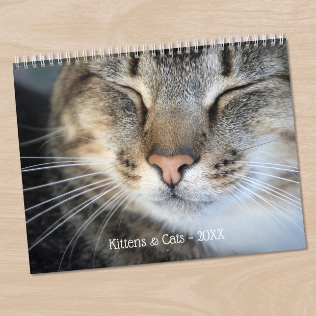 Cute Kittens and Cats Pet Photo Calendar (Cute Kittens and Cats Pet Photo Calendar, in situ)