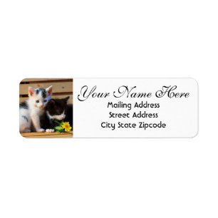 Cute Kittens and Flowers Return Address