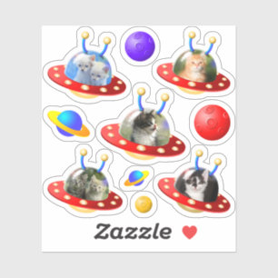 Cute Kittens Cats in UFOs Flying Saucers Alien