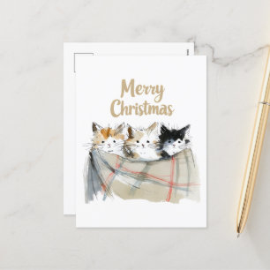 Cute Kittens Christmas Holiday Postcard