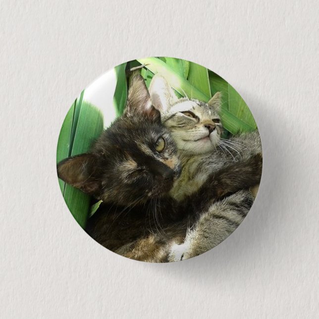Cute kittens cuddling 3 cm round badge (Front)