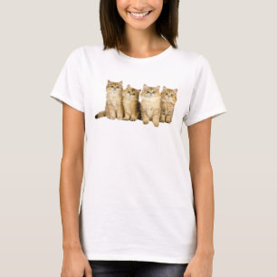 Cute kittens family T-Shirt