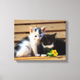 Cute Kittens Flowers Cat Photo Canvas Print