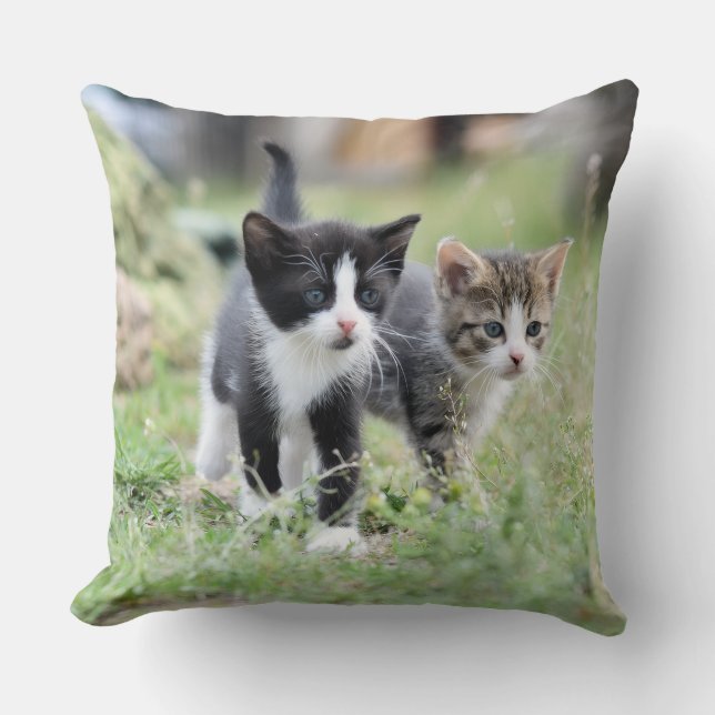 Cute Kittens in Nature Decorative Throw Pillow (Front)