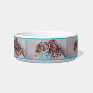 Cute Kittens in Vintage Hat Box Cat Bowl