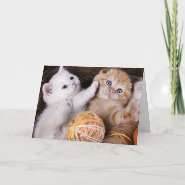 Cute Kittens miss you card (Front)