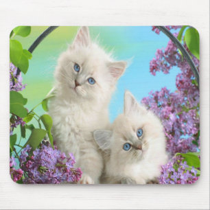 Cute Kittens Mouse Mat