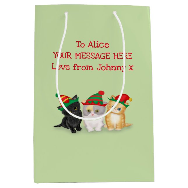 Cute kittens personalised green Christmas gift bag (Front)