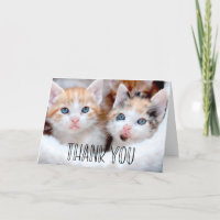 Cute Kittens Photo Whimsical Typography