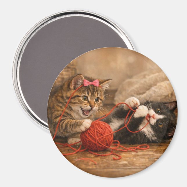 Cute Kittens Playing with Yarn Round Magnet (Front/Back)