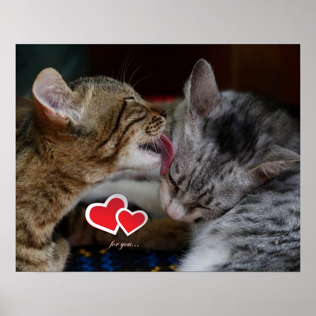 Cute kittens poster (Front)