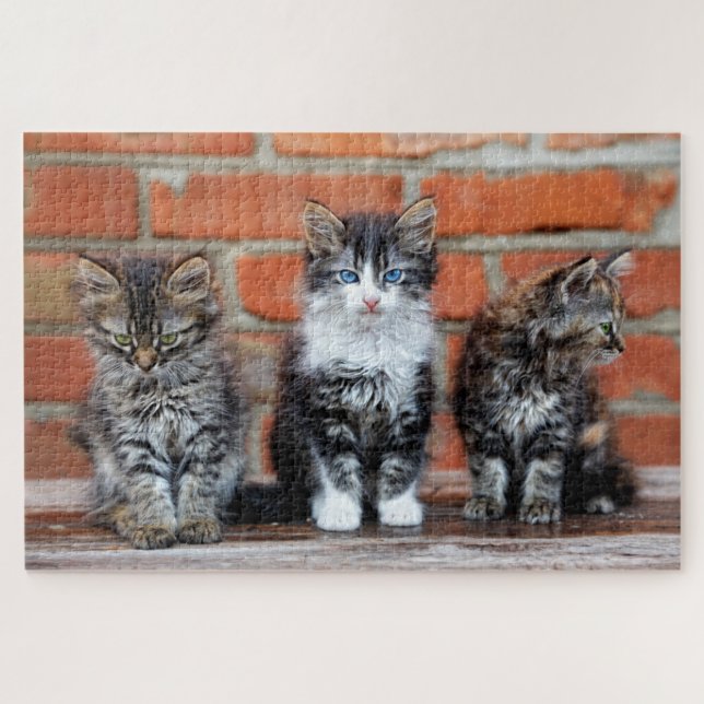 Cute Kittens Sitting In Front Of A Brick Wall Jigsaw Puzzle (Horizontal)