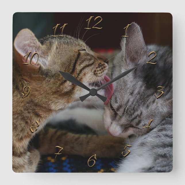 Cute kittens square wall clock (Front)