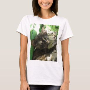Cute kittens T-Shirt