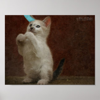 Cute Kittie Poster