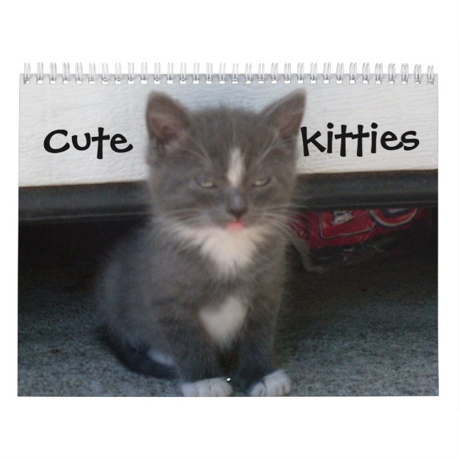 CUTE KITTIES calendar (Cover)