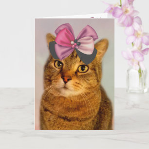 Cute Kitty And Bow Birthday Card