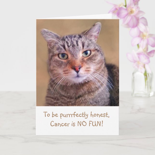 Cute Kitty Cancer Support Card (Orchid)
