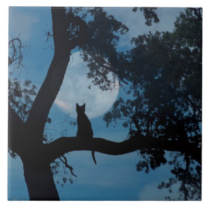 Cute Kitty Cat and Moon Art Tile