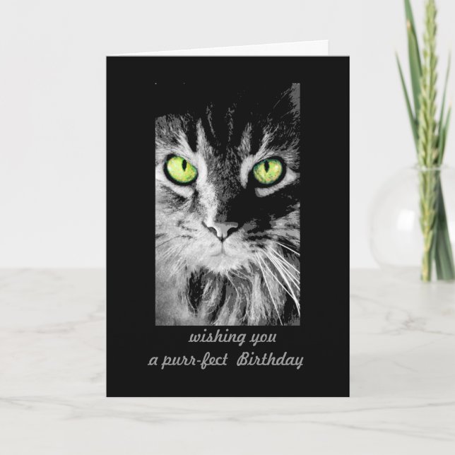 cute kitty cat Birthday Card photo art humourous (Front)