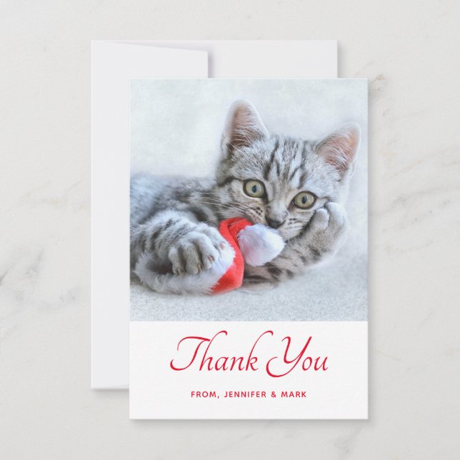 Cute Kitty Cat Biting a Red Santa Hat Thank You (Front)