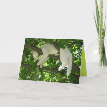 Cute Kitty Cat Cute Customisable Card