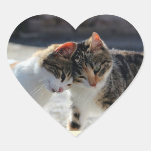 Cute Kitty Cat Love Cuddles Heart Sticker